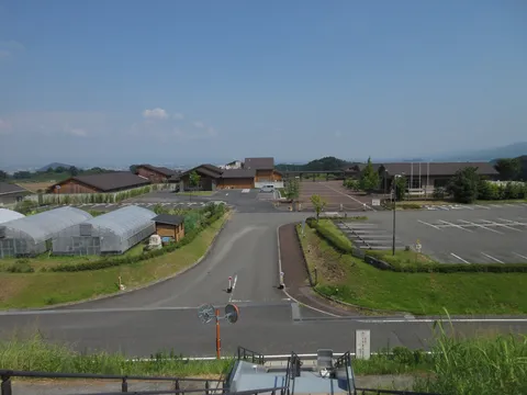 緑と建物が調和する広々とした風景