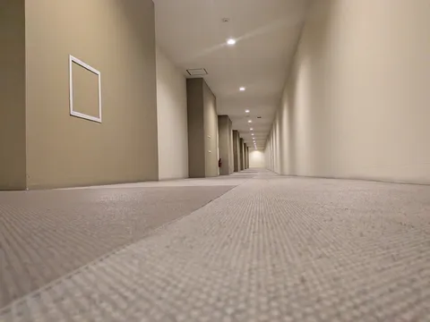 どこまでも続く、光と影の回廊