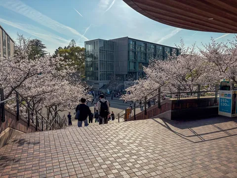 新緑と現代建築のコントラスト