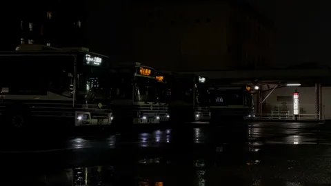 濡れた路面に灯る光