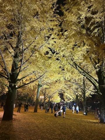 秋の夜長の黄金トンネル