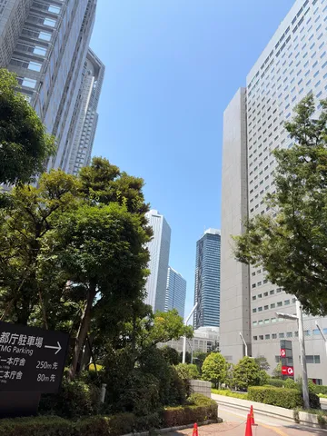 都会の空と緑のコントラスト
