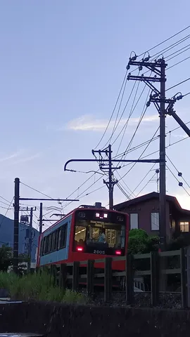 夜