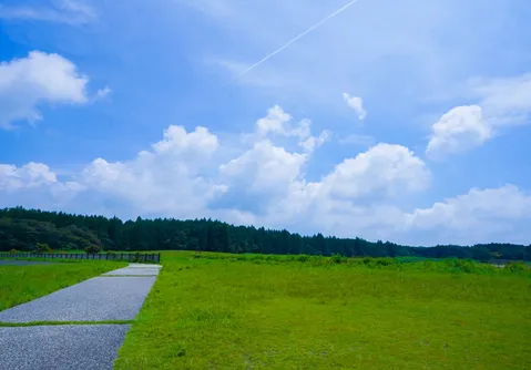青空と緑のコントラスト