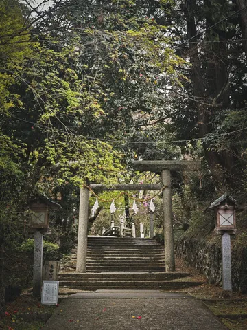 苔むす鳥居、杜への道