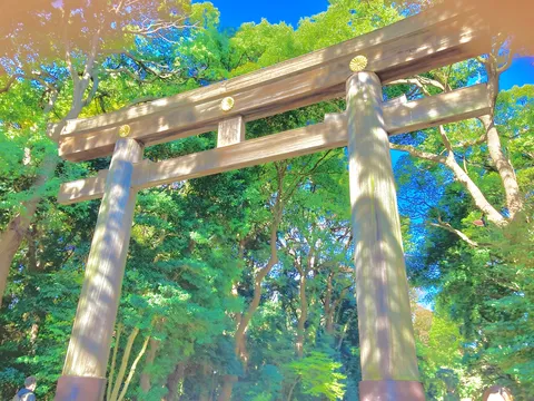 鳥居の向こうは、新緑の楽園