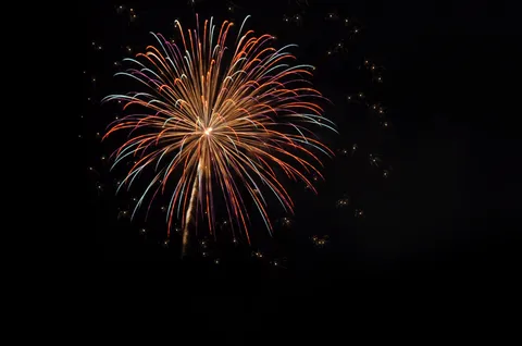 夜空に咲く華