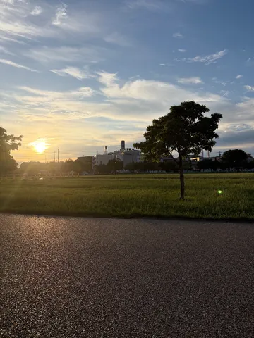 夕映えの道と一本木