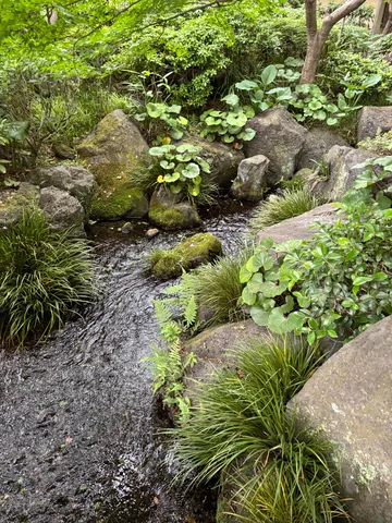 清流のせせらぎ、癒しの緑