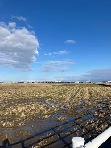 水田に残る冬の風景