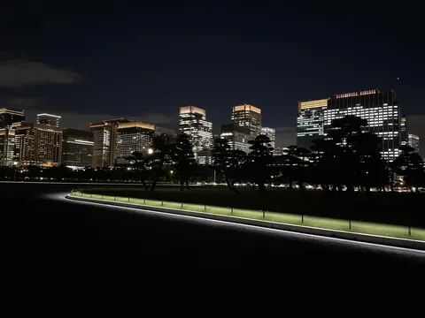 都会の夜景を彩る緑と光のコントラスト