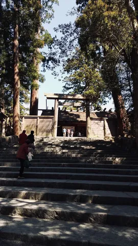 石段と木漏れ日の神聖な道