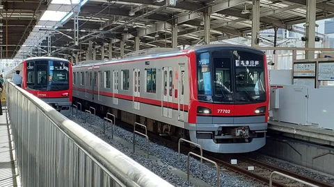 二つの列車が彩る駅の風景