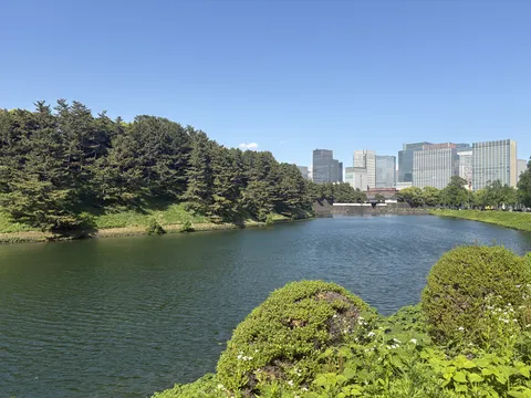 水辺と都会のコントラスト