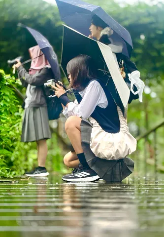 雨の日の静かな観察者