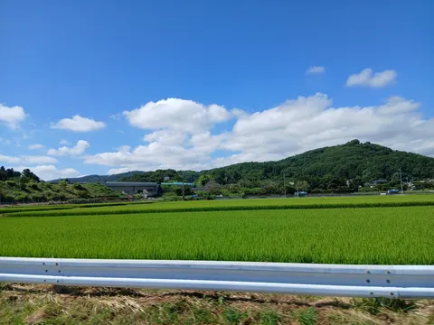 緑と青、山のコントラスト