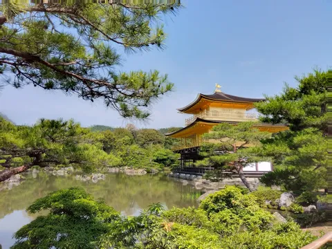 金色の寺院、緑の木々、水面の輝き