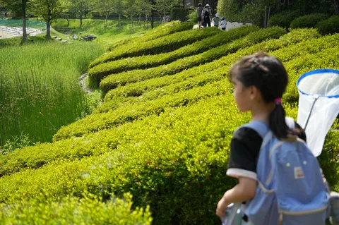 光あふれる、緑の調べ