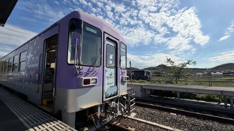 紫と青空の列車風景