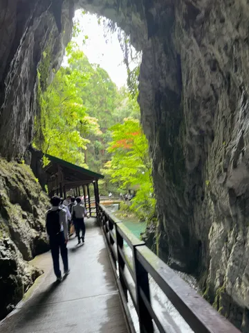 洞窟から覗く新緑の絶景