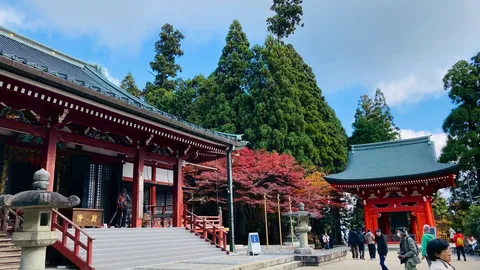 秋の古刹、鮮やかな色彩
