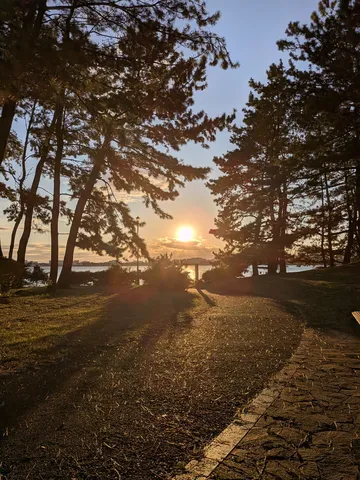 木漏れ日にほどける夕景