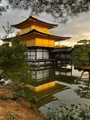 水面にほどける金色の寺
