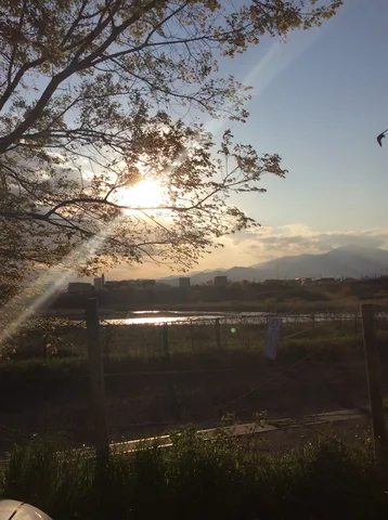 木漏れ日と遠い山並み
