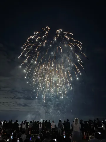 夜空に咲く、光の華。