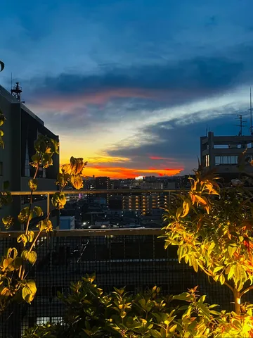茜色に染まる都会の空