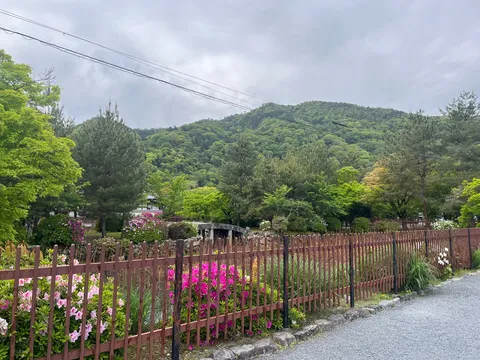 新緑と古道、穏やかな風景