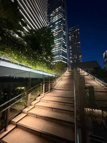 光導く夜の階段