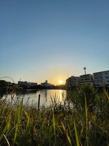 夕暮れの湖畔、草木の息吹