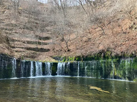 苔むす滝と静寂の森
