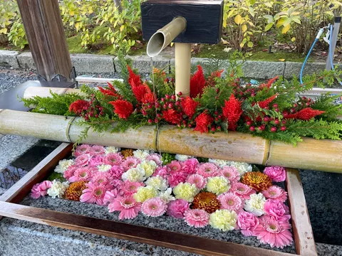 清流に咲く、彩り豊かな花々