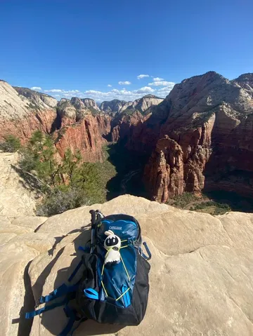 絶景を背に、旅の相棒もリラックス