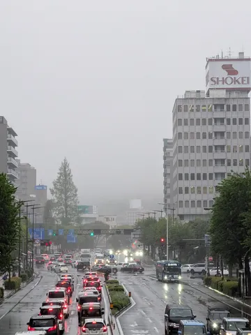 雨粒のヴェール、都会の静寂