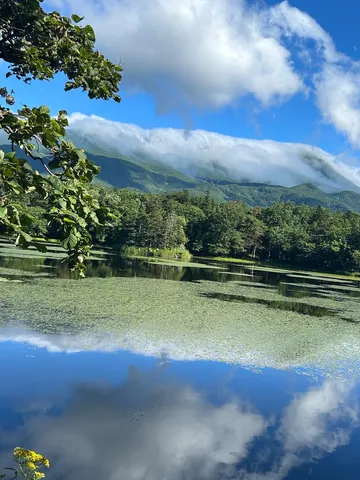 霧と湖面、緑の山々