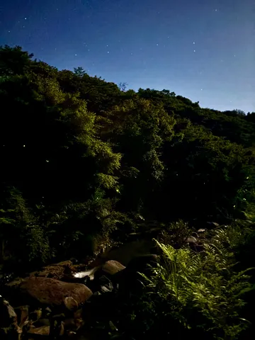 星空の下、蛍舞う渓流
