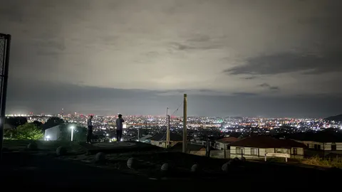 夜景と風に揺れる街