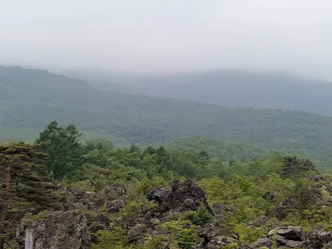 霧深き山の緑と岩肌