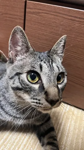 瞳に映る静かな午後