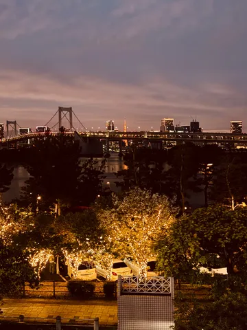 都会の夜景と光る木々