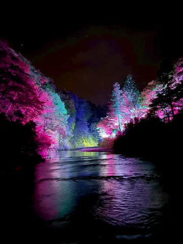幻想的な光の川辺