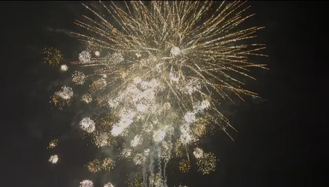 夜空に咲く光の花