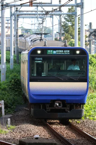 青と白の疾走感