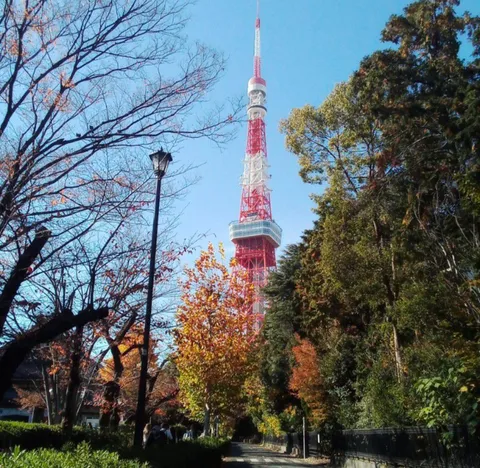秋空と赤鉄塔、錦秋の誘い