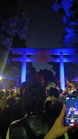 夜を照らす幻想の鳥居