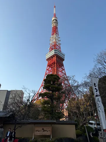 都会の紅葉と東京タワー
