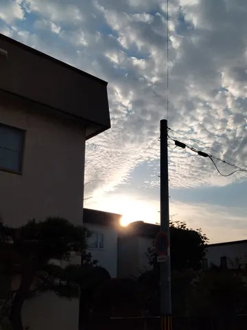 夕暮れと電線の影